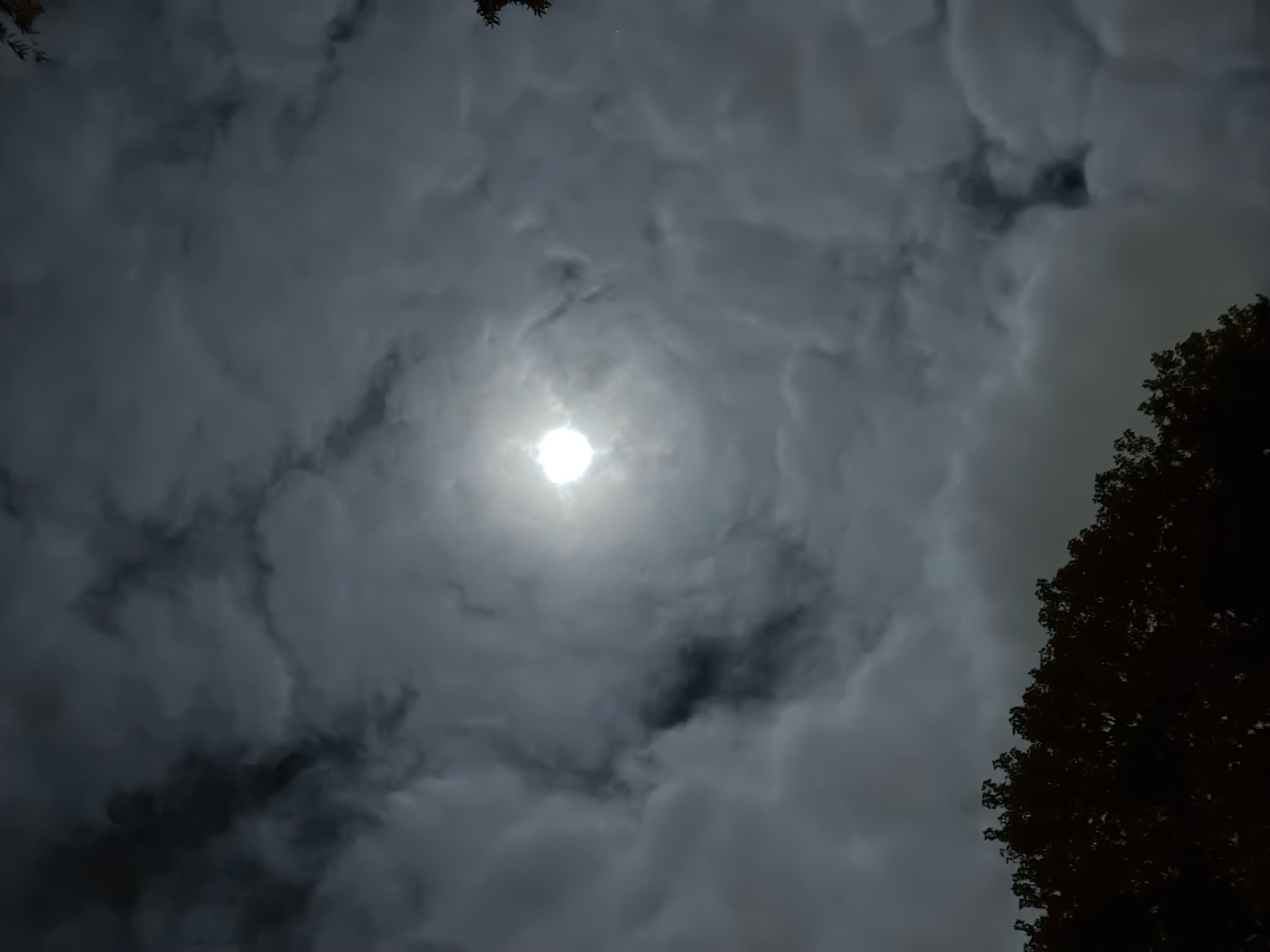 A full moon glowing through textured clouds above a dark tree line.