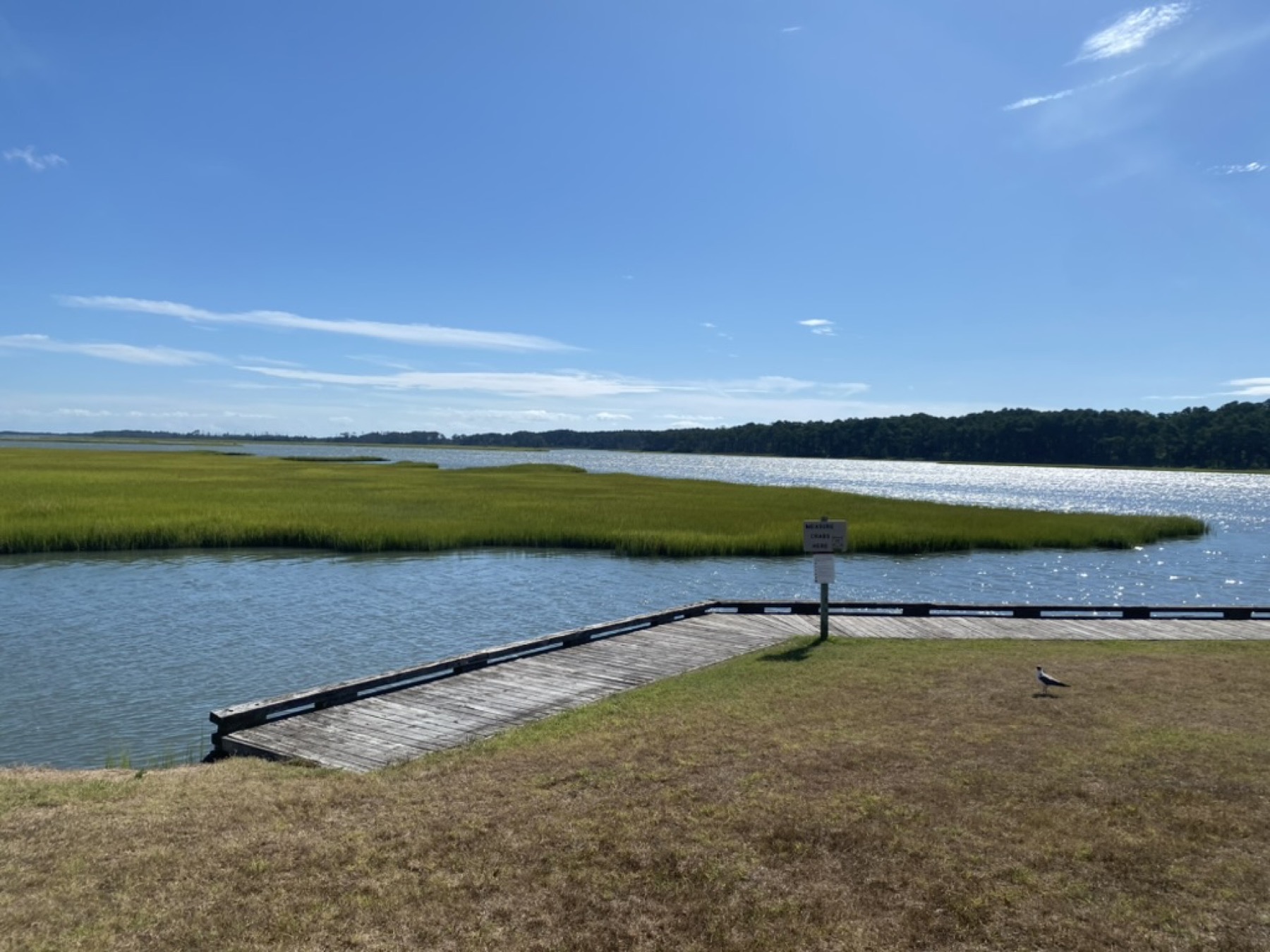A calm marsh and waterway under a bright blue sky.